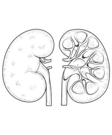 Kidney Test